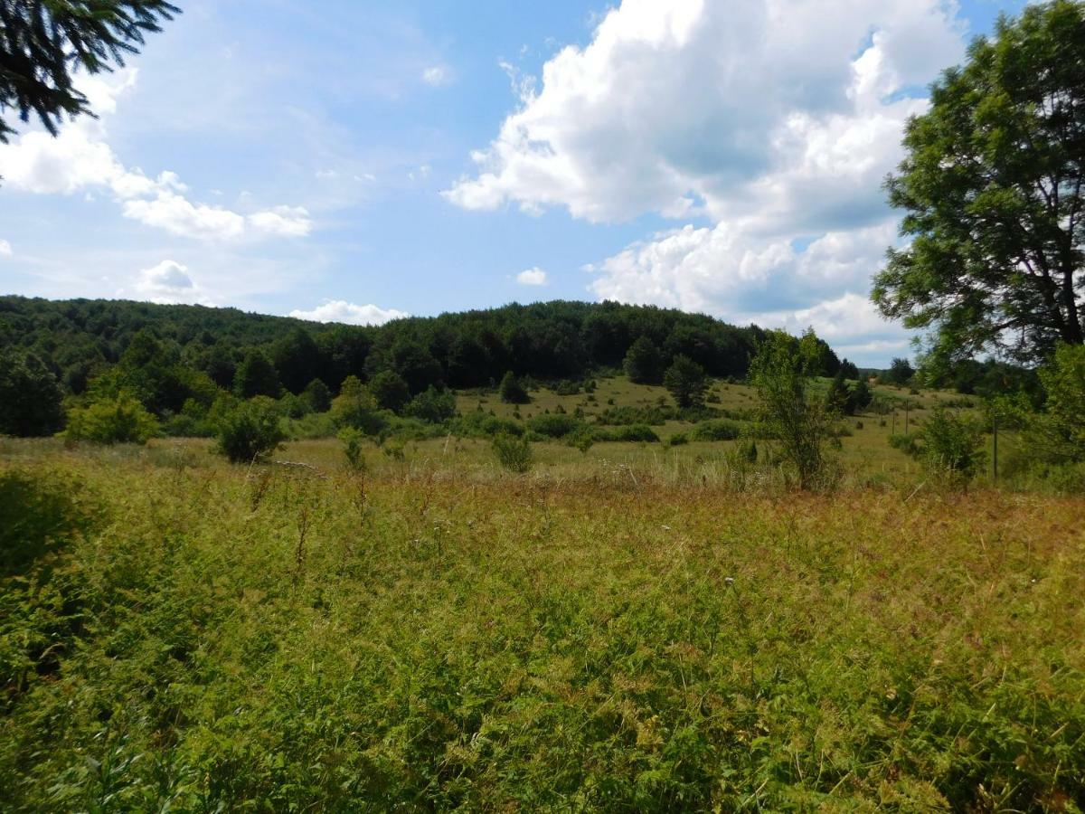 Vacation House Home, Plitvice Lakes National Park Plitvicka Jezera Luaran gambar