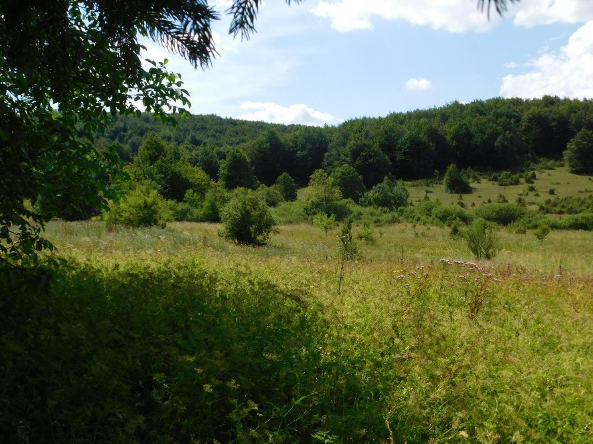 Vacation House Home, Plitvice Lakes National Park Plitvicka Jezera Luaran gambar