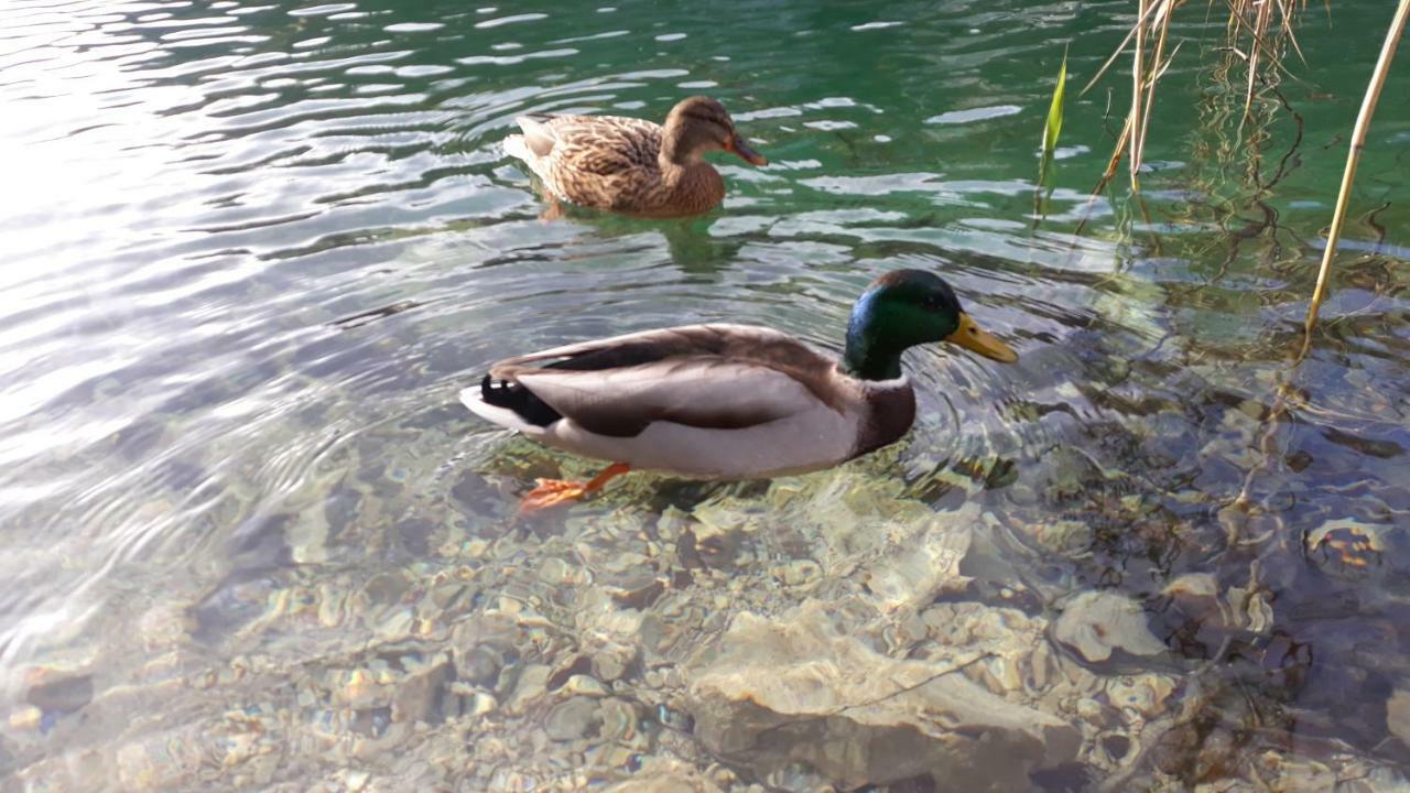 Vacation House Home, Plitvice Lakes National Park Plitvicka Jezera Luaran gambar