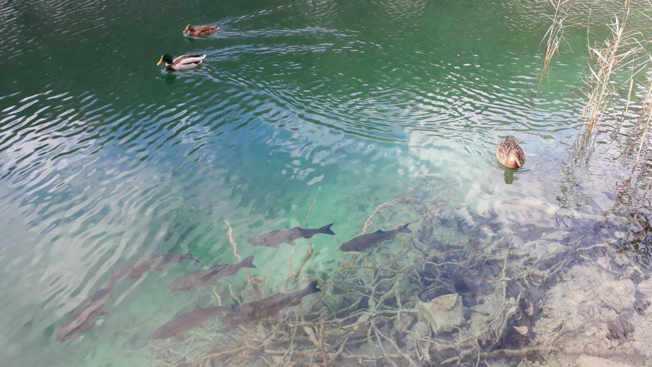 Vacation House Home, Plitvice Lakes National Park Plitvicka Jezera Luaran gambar