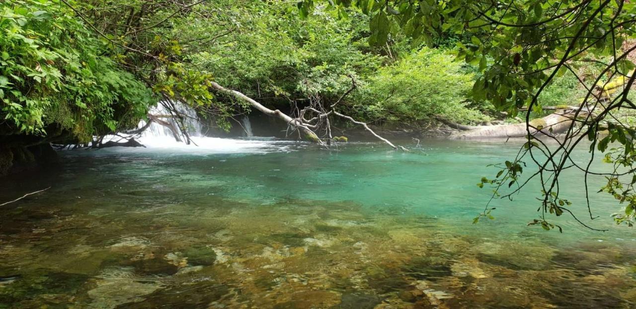 Vacation House Home, Plitvice Lakes National Park Plitvicka Jezera Luaran gambar